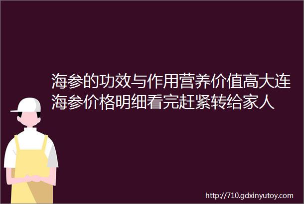 海参的功效与作用营养价值高大连海参价格明细看完赶紧转给家人